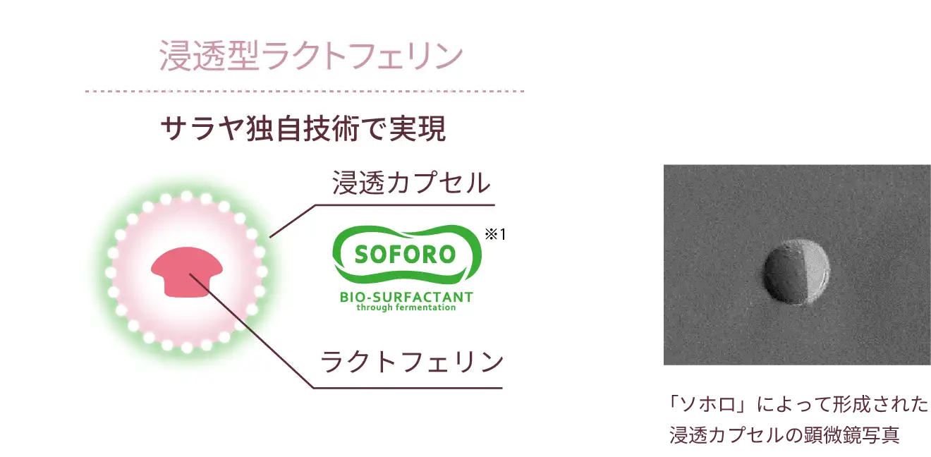 浸透型ラクトフェリン