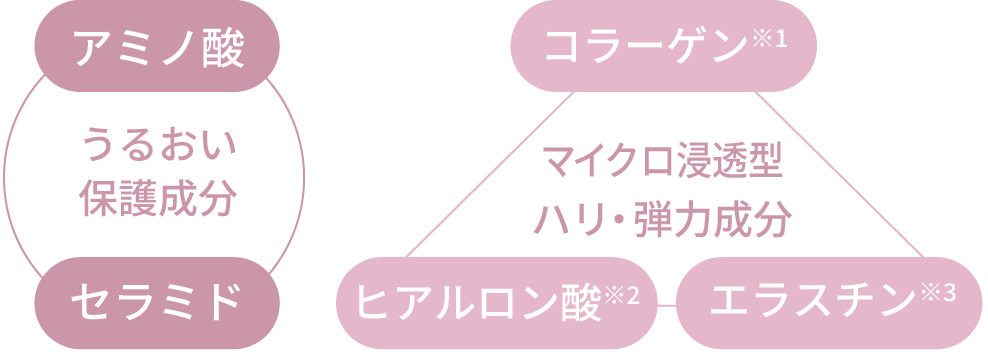 うるおい保護成分(アミノ酸・セラミド)、マイクロ浸透型ハリ・弾力成分(コラーゲン・ヒアルロン酸・エラスチン)